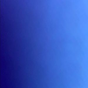 Meet your Posher, Ella